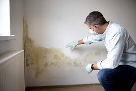 Best Emergency Mold Remediation  in Bethel, AK